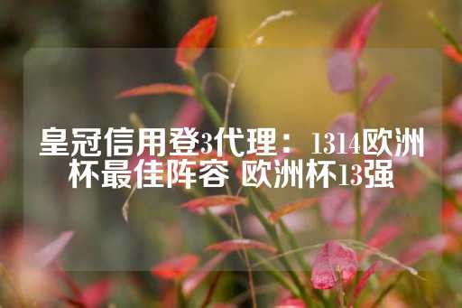 皇冠信用登3代理：1314欧洲杯最佳阵容 欧洲杯13强-第1张图片-皇冠信用盘出租