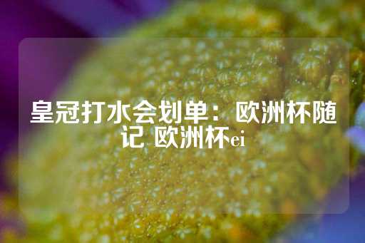 皇冠打水会划单：欧洲杯随记 欧洲杯ei