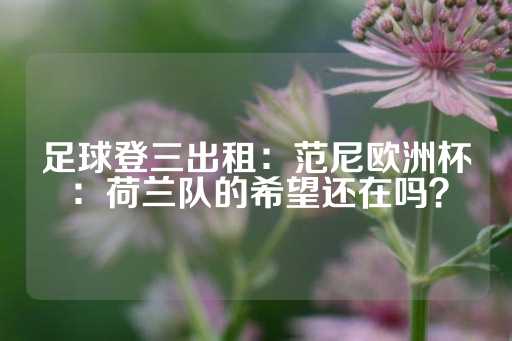 足球登三出租：范尼欧洲杯：荷兰队的希望还在吗？-第1张图片-皇冠信用盘出租