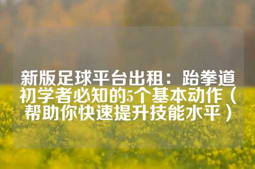 新版足球平台出租：跆拳道初学者必知的5个基本动作（帮助你快速提升技能水平）