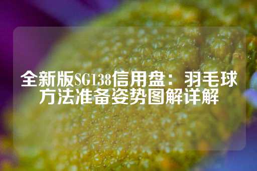 全新版SG138信用盘：羽毛球方法准备姿势图解详解