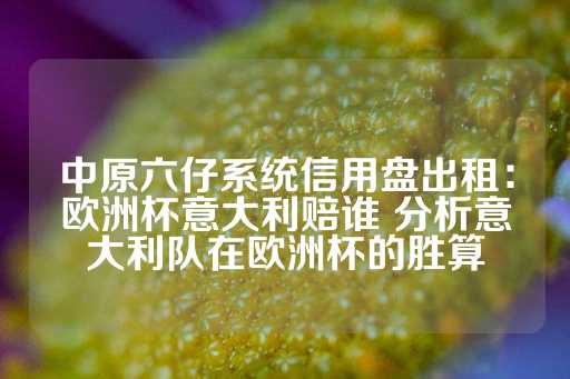 中原六仔系统信用盘出租：欧洲杯意大利赔谁 分析意大利队在欧洲杯的胜算-第1张图片-皇冠信用盘出租