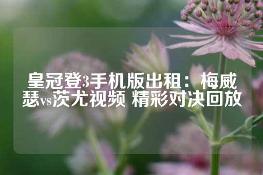 皇冠登3手机版出租：梅威瑟vs茨尤视频 精彩对决回放