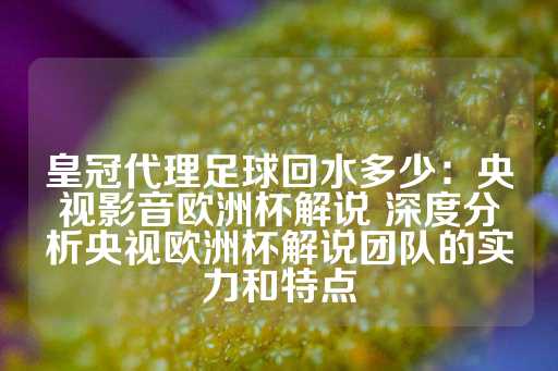 皇冠代理足球回水多少：央视影音欧洲杯解说 深度分析央视欧洲杯解说团队的实力和特点-第1张图片-皇冠信用盘出租