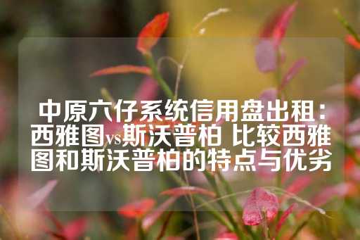 中原六仔系统信用盘出租：西雅图vs斯沃普柏 比较西雅图和斯沃普柏的特点与优劣