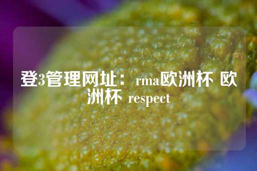 登3管理网址：rma欧洲杯 欧洲杯 respect-第1张图片-皇冠信用盘出租