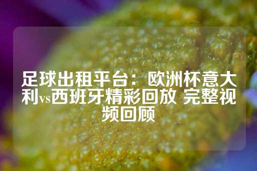 足球出租平台：欧洲杯意大利vs西班牙精彩回放 完整视频回顾-第1张图片-皇冠信用盘出租