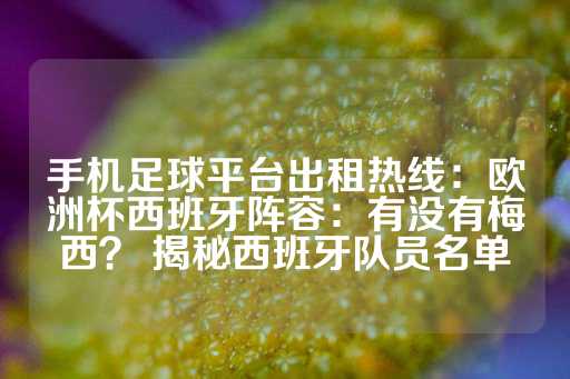 手机足球平台出租热线：欧洲杯西班牙阵容：有没有梅西？ 揭秘西班牙队员名单