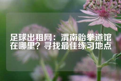 足球出租网：渭南跆拳道馆在哪里？寻找最佳练习地点