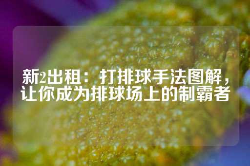 新2出租：打排球手法图解，让你成为排球场上的制霸者