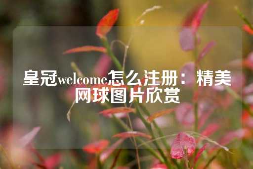 皇冠welcome怎么注册：精美网球图片欣赏-第1张图片-皇冠信用盘出租