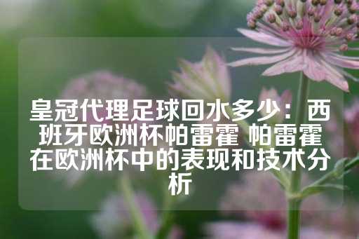 皇冠代理足球回水多少：西班牙欧洲杯帕雷霍 帕雷霍在欧洲杯中的表现和技术分析-第1张图片-皇冠信用盘出租