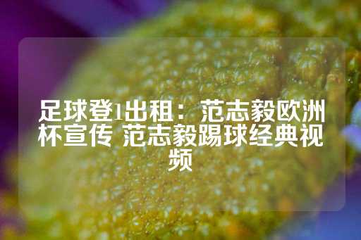 足球登1出租：范志毅欧洲杯宣传 范志毅踢球经典视频