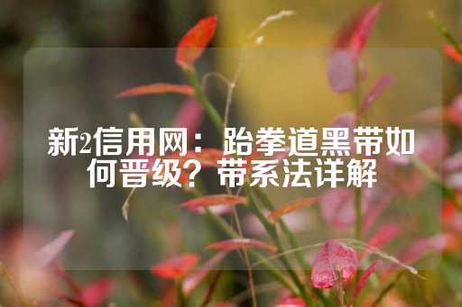 新2信用网：跆拳道黑带如何晋级？带系法详解