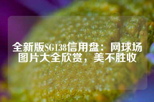 全新版SG138信用盘：网球场图片大全欣赏，美不胜收