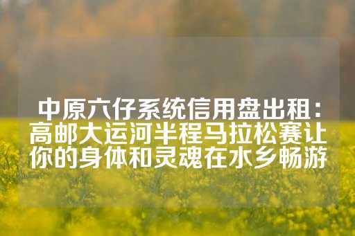 中原六仔系统信用盘出租：高邮大运河半程马拉松赛让你的身体和灵魂在水乡畅游