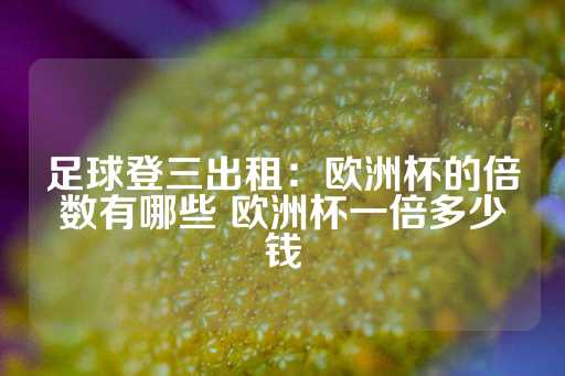 足球登三出租：欧洲杯的倍数有哪些 欧洲杯一倍多少钱-第1张图片-皇冠信用盘出租