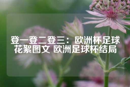 登一登二登三：欧洲杯足球花絮图文 欧洲足球杯结局-第1张图片-皇冠信用盘出租