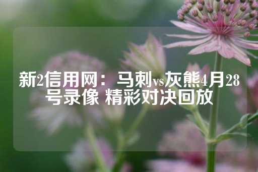 新2信用网：马刺vs灰熊4月28号录像 精彩对决回放