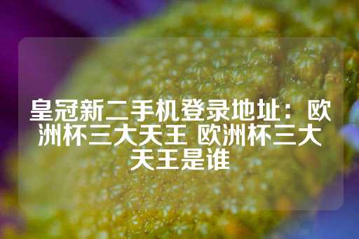 皇冠新二手机登录地址：欧洲杯三大天王 欧洲杯三大天王是谁-第1张图片-皇冠信用盘出租