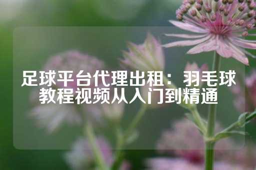 足球平台代理出租：羽毛球教程视频从入门到精通