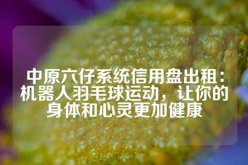 中原六仔系统信用盘出租：机器人羽毛球运动，让你的身体和心灵更加健康