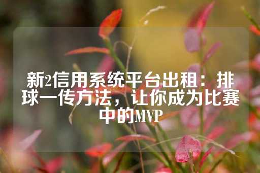 新2信用系统平台出租：排球一传方法，让你成为比赛中的MVP