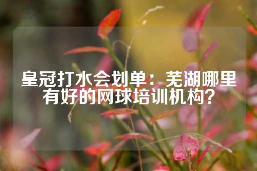 皇冠打水会划单：芜湖哪里有好的网球培训机构？-第1张图片-皇冠信用盘出租