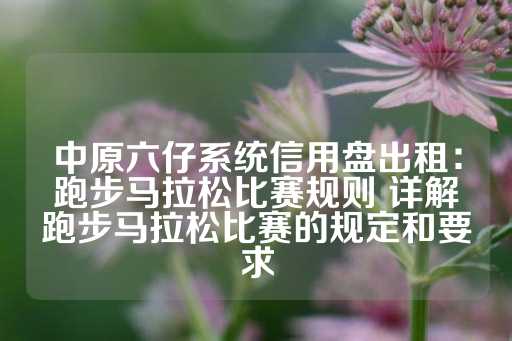 中原六仔系统信用盘出租：跑步马拉松比赛规则 详解跑步马拉松比赛的规定和要求