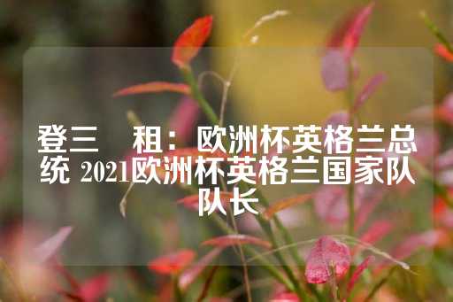 登三岀租：欧洲杯英格兰总统 2021欧洲杯英格兰国家队队长