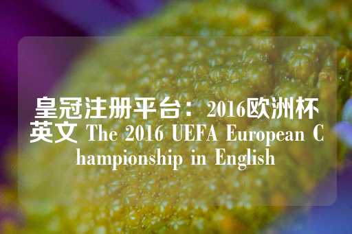 皇冠注册平台：2016欧洲杯英文 The 2016 UEFA European Championship in English