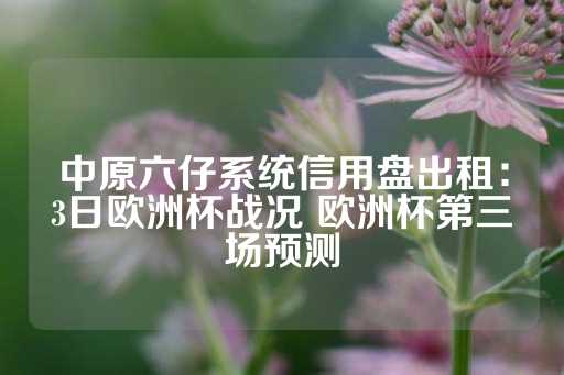 中原六仔系统信用盘出租：3日欧洲杯战况 欧洲杯第三场预测-第1张图片-皇冠信用盘出租