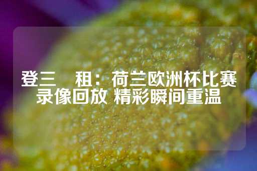 登三岀租：荷兰欧洲杯比赛录像回放 精彩瞬间重温-第1张图片-皇冠信用盘出租