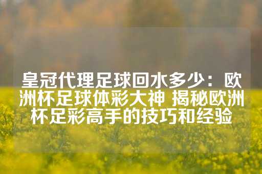 皇冠代理足球回水多少：欧洲杯足球体彩大神 揭秘欧洲杯足彩高手的技巧和经验