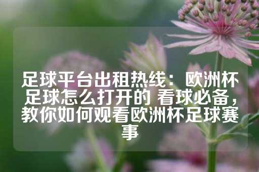 足球平台出租热线：欧洲杯足球怎么打开的 看球必备，教你如何观看欧洲杯足球赛事