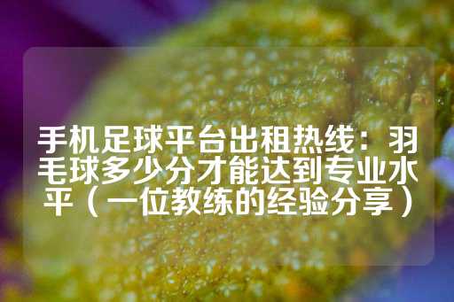 手机足球平台出租热线：羽毛球多少分才能达到专业水平（一位教练的经验分享）-第1张图片-皇冠信用盘出租