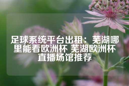 足球系统平台出租：芜湖哪里能看欧洲杯 芜湖欧洲杯直播场馆推荐-第1张图片-皇冠信用盘出租