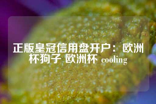 正版皇冠信用盘开户：欧洲杯狗子 欧洲杯 cooling