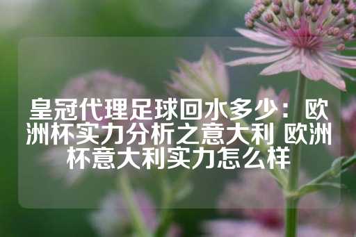 皇冠代理足球回水多少：欧洲杯实力分析之意大利 欧洲杯意大利实力怎么样