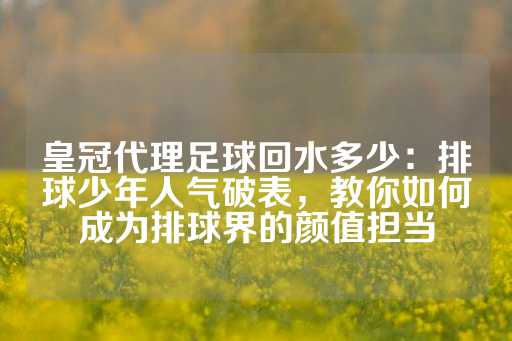 皇冠代理足球回水多少：排球少年人气破表，教你如何成为排球界的颜值担当