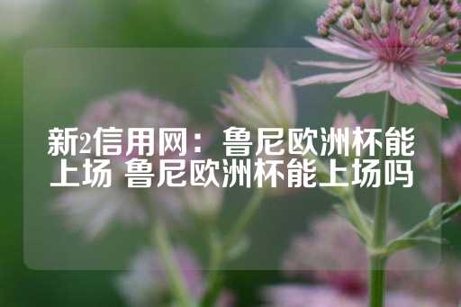 新2信用网：鲁尼欧洲杯能上场 鲁尼欧洲杯能上场吗