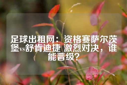 足球出租网：资格赛萨尔茨堡vs舒肯迪捷 激烈对决，谁能晋级？-第1张图片-皇冠信用盘出租