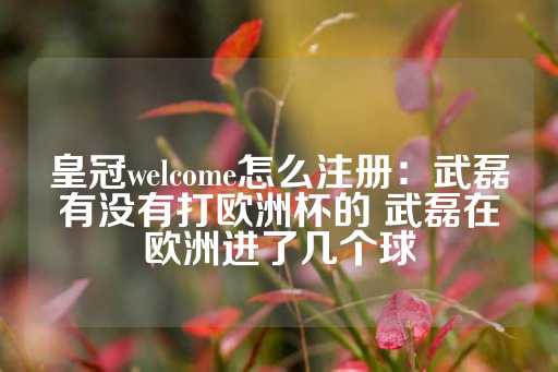 皇冠welcome怎么注册：武磊有没有打欧洲杯的 武磊在欧洲进了几个球