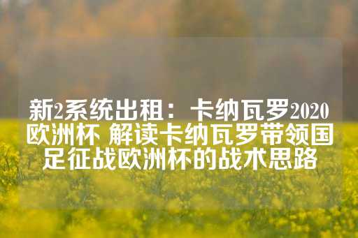 新2系统出租：卡纳瓦罗2020欧洲杯 解读卡纳瓦罗带领国足征战欧洲杯的战术思路