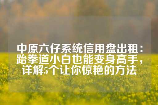 中原六仔系统信用盘出租：跆拳道小白也能变身高手，详解5个让你惊艳的方法-第1张图片-皇冠信用盘出租