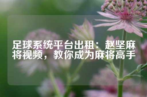 足球系统平台出租：赵坚麻将视频，教你成为麻将高手