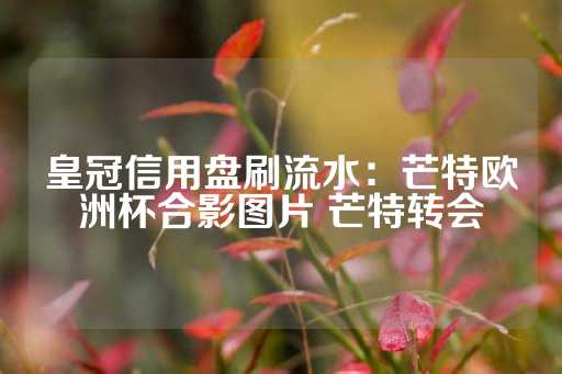 皇冠信用盘刷流水：芒特欧洲杯合影图片 芒特转会