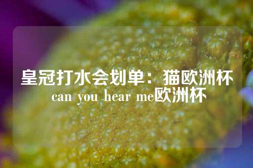 皇冠打水会划单：猫欧洲杯 can you hear me欧洲杯