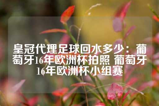 皇冠代理足球回水多少：葡萄牙16年欧洲杯拍照 葡萄牙16年欧洲杯小组赛