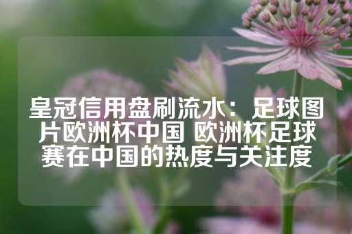 皇冠信用盘刷流水：足球图片欧洲杯中国 欧洲杯足球赛在中国的热度与关注度